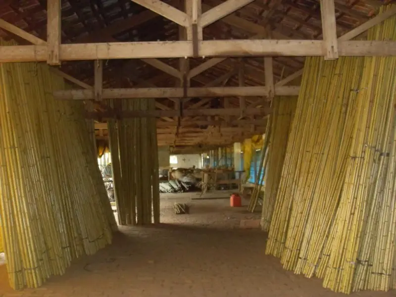 Galpão com telhado de madeira e feixes de varas de bambu em pé dos dois lados