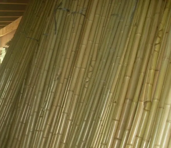 Varas de bambu tratado encostadas sob uma cobertura